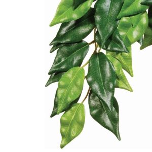 Exo Terra Ficus Hanging Plant
